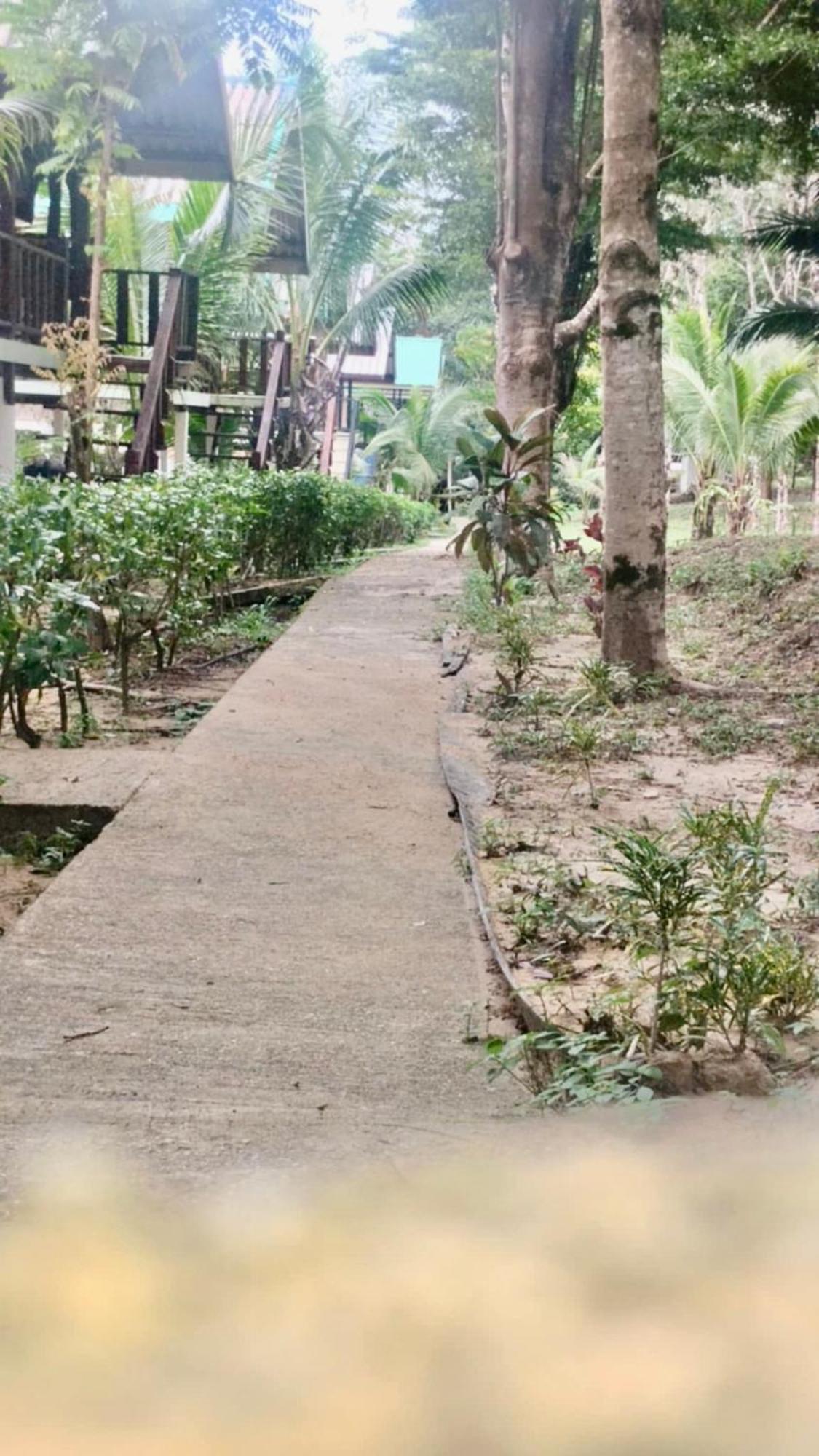 Rasta House,,Koh Phayam Hotel Екстериор снимка